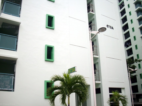 Jurong West Street 65 thumbnail photo
